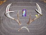Sheds Day 1.jpg