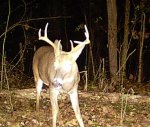 lil 8 point 1.jpg