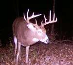 10 point with kicker.jpg