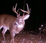 9 point 3.jpg