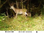 8 point.JPG