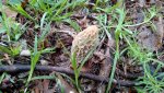 IMG_20160501_073835597.jpg