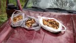 IMG_20160501_135817918.jpg