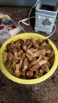 IMG_20160501_141928388.jpg