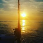 IMG_20160529_181508.jpg
