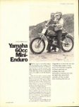 Yamaha60p1.jpg