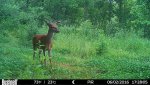 HUNT0103.jpg