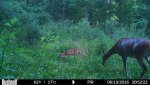 HUNT0001.jpg
