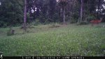IMG_0167.jpg