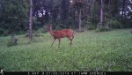IMG_0337.jpg