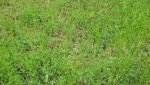 20160522_120545.jpg