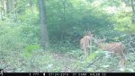 IMG_0527.jpg