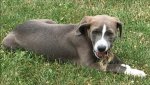 IMG_0618.jpg