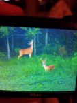 20160806_222757.jpg