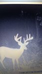 IMG_20160807_152203798.jpg