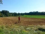 Forage oats.jpg