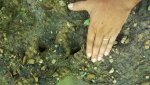 20160821_150233.jpg