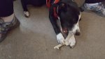 20160825_181408.jpg