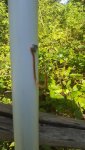 20160830_173756.jpg