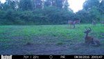 HUNT0010.jpg
