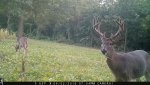 IMG_0181.jpg
