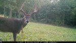 IMG_0191.jpg