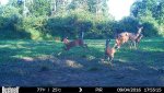 HUNT0292.jpg