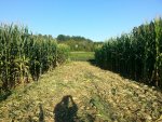 20160904_084558 - Copy.jpg