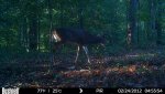 HUNT0041.jpg