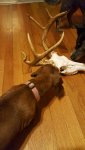 Resized_20160917_214522.jpg