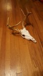 Resized_20160917_220427.jpg