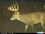 CDY_0052.jpg