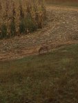 IMG_0452.jpg