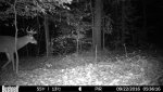 HUNT0046.jpg