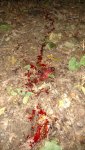 IMG_20161001_191639406.jpg