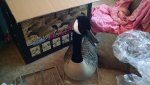 IMG_20160918_140730276.jpg