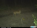 CDY_0038.jpg