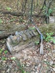 IMG_0417[1].jpg