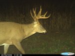 CDY_0049.jpg