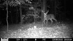 HUNT0074.jpg