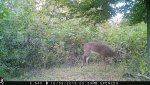 IMG_0430.jpg