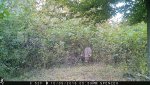 IMG_0425.jpg