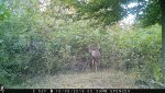 IMG_0426.jpg
