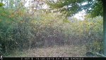 IMG_0146.jpg