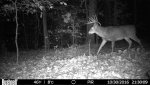 HUNT0019.jpg