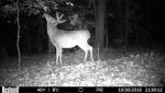 HUNT0021.jpg