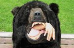 realistic-bear-sleeping-bag-6.jpg