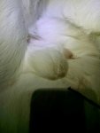 IMG_20161113_1800480731.jpg