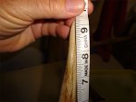 DSC02100web.jpg