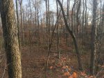 IMG_5444.jpg